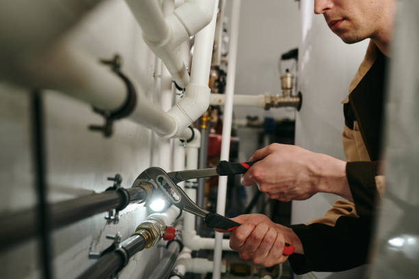 Best Shower Repair Services  in Danvle, IL