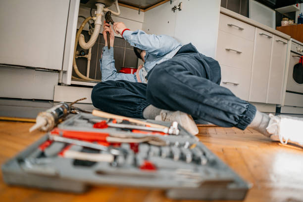 Best Drain Cleaning Services  in Danvle, IL