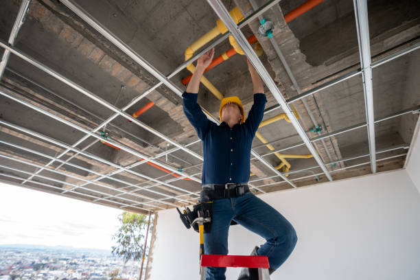 Best Plumbing Repair Near Me  in Danvle, IL