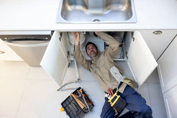Best Best Plumbers Near Me  in Danvle, IL